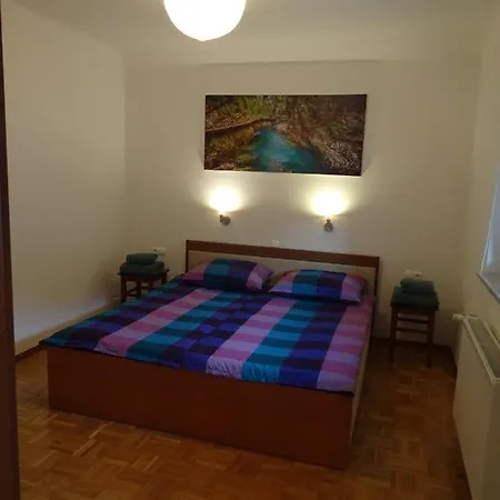 Apartma Dana-Brinjtesa Jesenice Exterior photo